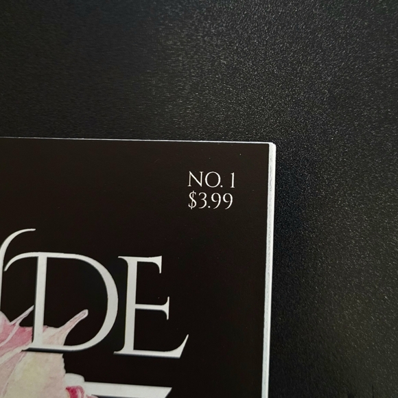 A Dark Interlude #1 - Picture 6 of 8